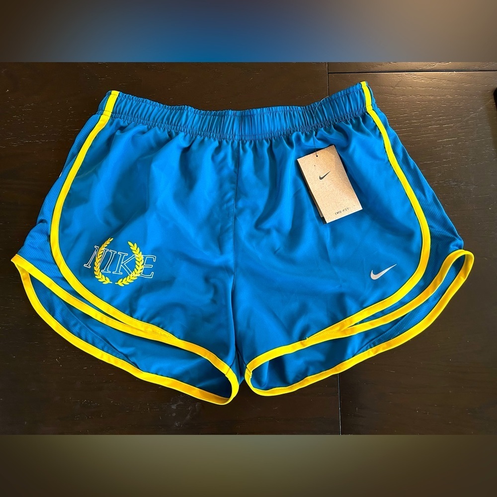 Nike dri-fit shorts